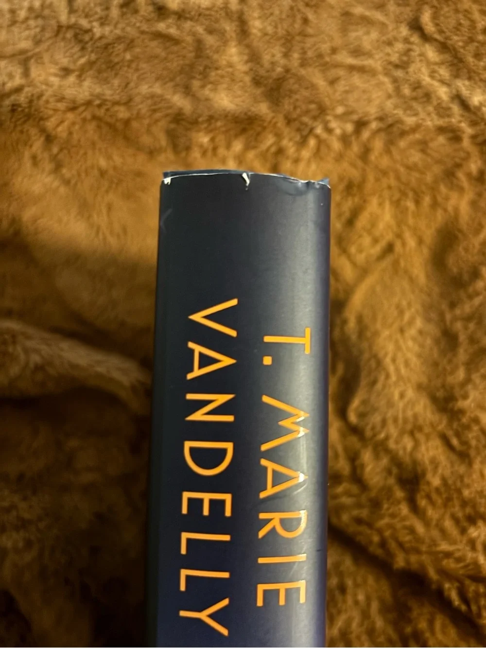 Theme Music by T. Marie Vandelly Hardcover Book